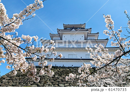福島県/ 桜満開の鶴ヶ城（会津若松城） 61470735