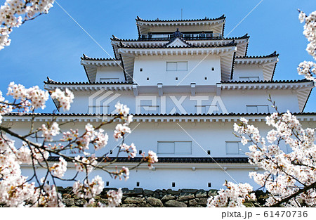福島県/ 桜満開の鶴ヶ城（会津若松城） 61470736