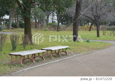 公園のベンチ 61471220