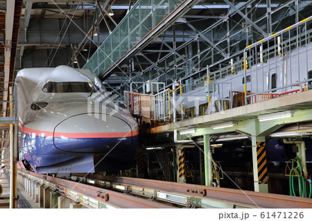 E4系　新幹線　Maxとき 61471226