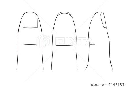 【人体イラストシリーズ】親指セット 【人体イラストシリーズ】親指セット 61471354
