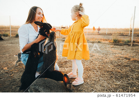Mom and daughter visit a petting zoo with rabbits on the eve of Easter. Holiday, Easter traditions. 61471954