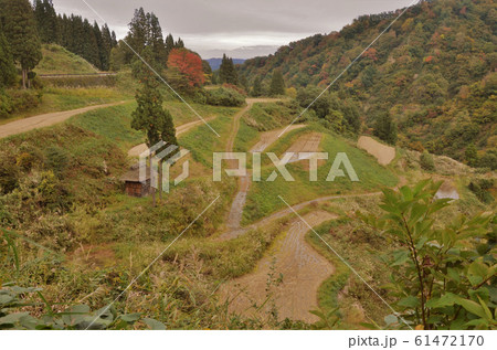 松之山の棚田 松之山の棚田 61472170