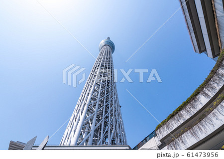 Tokyo skytree tower, 晴空塔,天空樹, skyline, 東京,日本 61473956
