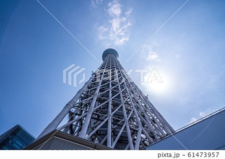 Tokyo skytree tower, 晴空塔,天空樹, skyline, 東京,日本 61473957