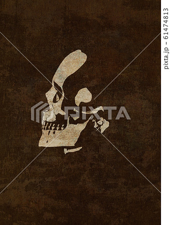 Textured human skull Textured human skull 61474813