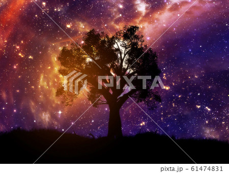 Lone tree over starry sky 61474831