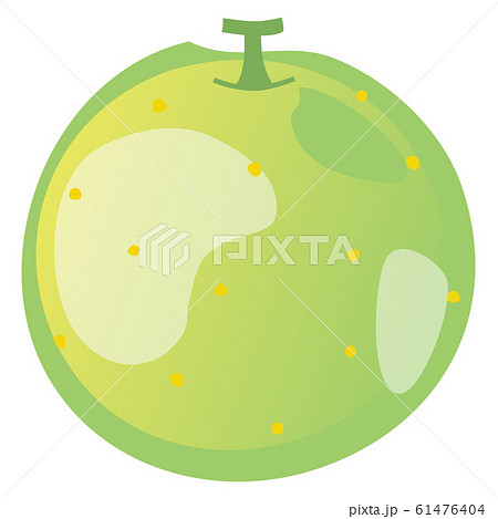 1つの緑の丸い梨のイラストのイラスト素材