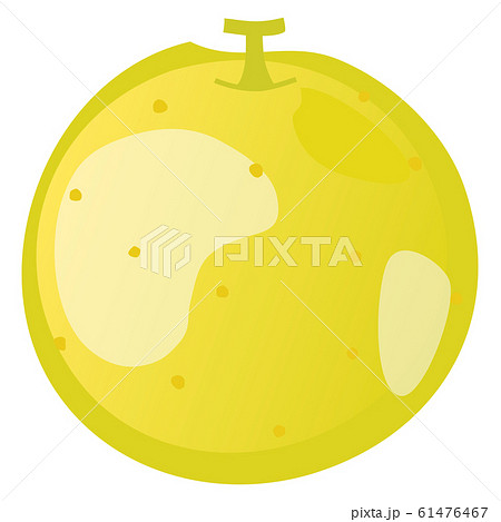 1つの黄色い丸い梨のイラストのイラスト素材