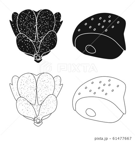 Vector design of product and poultry symbol. Set of product and agriculture vector icon for stock. 61477667