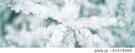 winter snow background 61478089