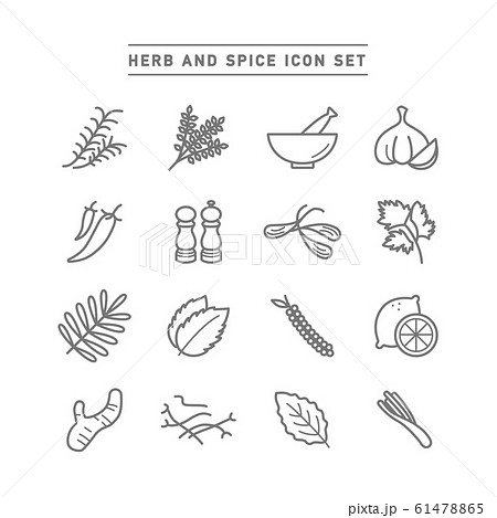 HERB AND SPICE ICON SET 61478865