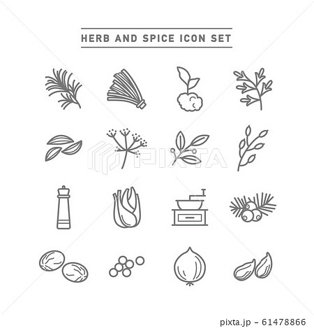 Herb And Spice Icon Setのイラスト素材