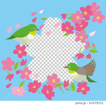 桜とめじろのイラスト素材