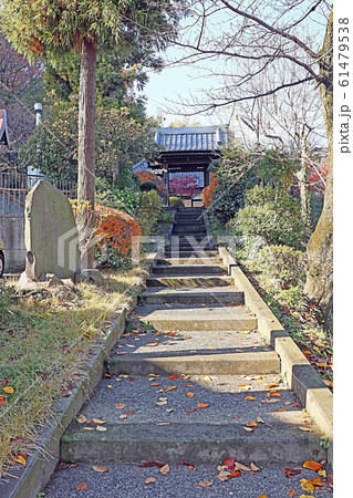 円照寺 61479538