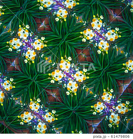 万華鏡模様 61479806