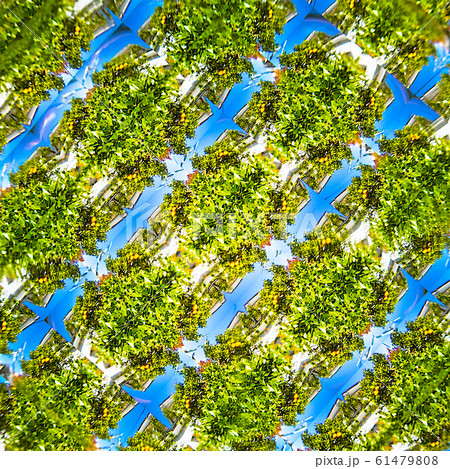 万華鏡模様 61479808