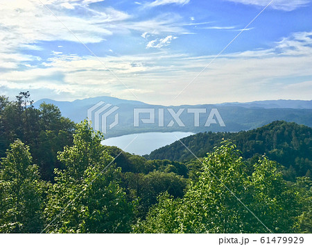 釜伏山パノラマライン 釜伏山パノラマライン 61479929