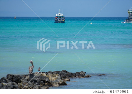 サンタクルス島の海 61479961