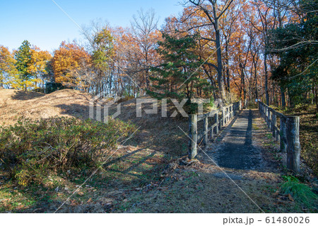 菅谷館跡　　正坫門　木橋 61480026