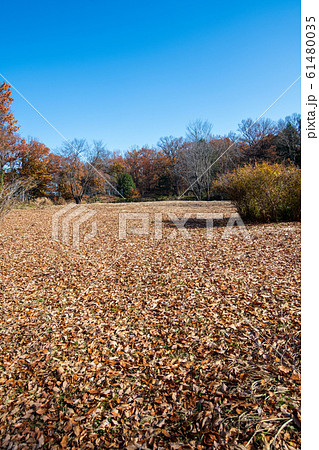 菅谷館跡　西ノ郭付近　 61480035