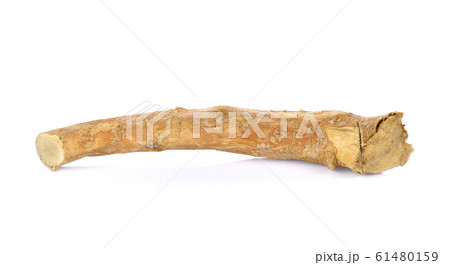 eurycoma longifolia also known as tongkat ali isolated on white background. 61480159