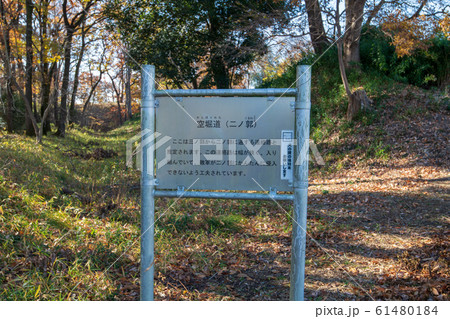 埼玉県立嵐山史跡の博物館　　菅谷館跡　二ノ郭付近 61480184