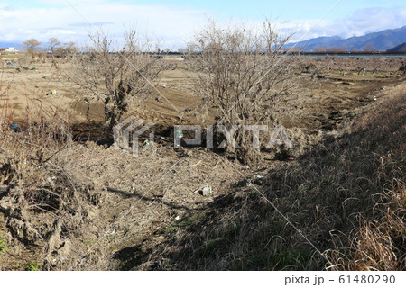 氾濫後の千曲川河川敷 61480290