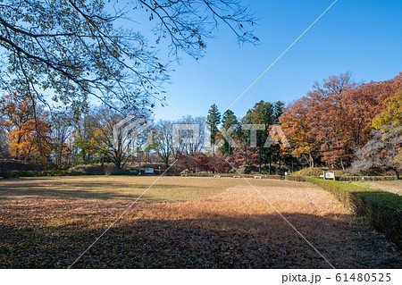 埼玉県立嵐山史跡の博物館付近  菅谷館跡  埼玉県立嵐山史跡の博物館付近  菅谷館跡  61480525