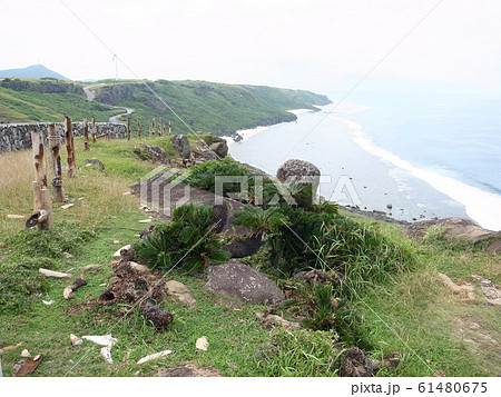 与那国島（東崎） 61480675