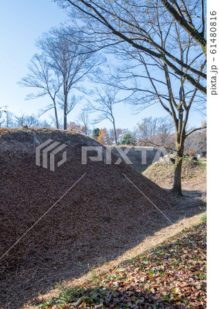 埼玉県立嵐山史跡の博物館　　菅谷館跡　二ノ郭付近 61480816