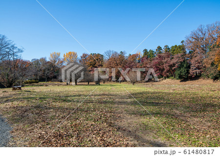 埼玉県立嵐山史跡の博物館 菅谷館跡 二ノ郭付近 埼玉県立嵐山史跡の博物館 菅谷館跡 二ノ郭付近 61480817