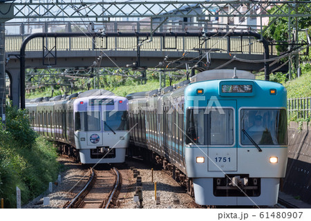 京王井の頭線　1000系　バイオレット＆ライトブルー 61480907