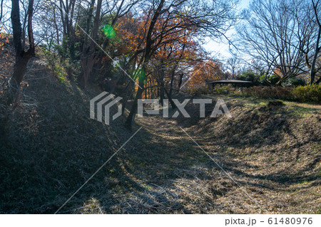 埼玉県立嵐山史跡の博物館 菅谷館跡 二ノ郭付近 埼玉県立嵐山史跡の博物館 菅谷館跡 二ノ郭付近 61480976