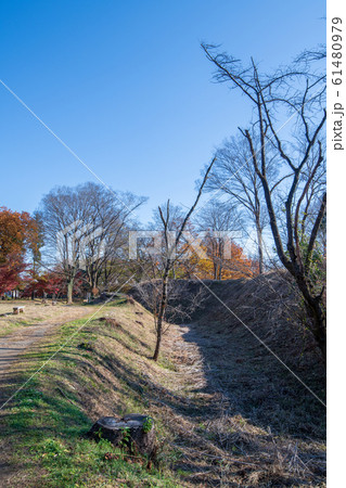 埼玉県立嵐山史跡の博物館 菅谷館跡 二ノ郭付近 埼玉県立嵐山史跡の博物館 菅谷館跡 二ノ郭付近 61480979