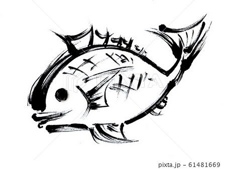 鯛 メデタイ お正月 手書き 筆書き 手描き めでたい めで鯛 墨絵 縁起物 赤 魚 日本 新年 のイラスト素材