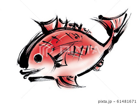 鯛 メデタイ お正月 手書き 筆書き 手描き めでたい めで鯛 墨絵 縁起物 赤 魚 日本 新年のイラスト素材