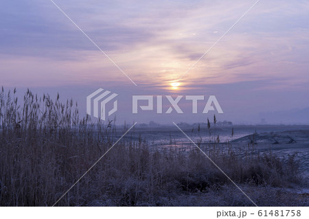 自然 風景 韓国 61481758