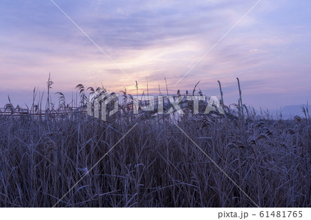 自然 風景 韓国 61481765