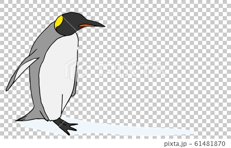 滲透企鵝 61481870