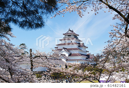 福島県/ 桜満開の鶴ヶ城(会津若松城) 福島県/ 桜満開の鶴ヶ城(会津若松城) 61482161