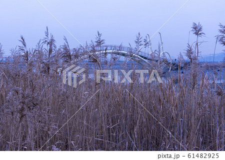 自然 風景 韓国 61482925