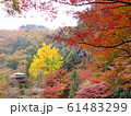 紅葉と清心亭 61483299