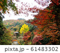 紅葉と清心亭 61483302