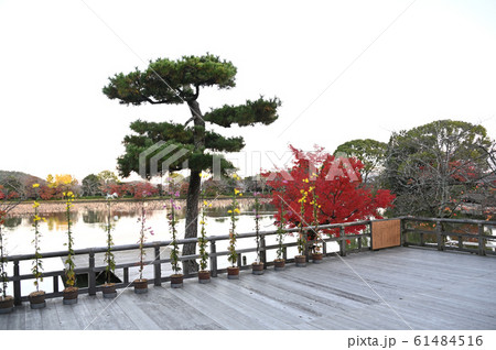 広縁から大沢池の眺め 広縁から大沢池の眺め 61484516