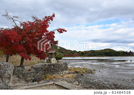 広沢池見神社と紅葉 61484538