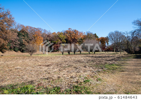 埼玉県立嵐山史跡の博物館 菅谷館跡 二ノ郭付近 埼玉県立嵐山史跡の博物館 菅谷館跡 二ノ郭付近 61484643