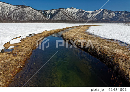 雪解けの尾瀬ヶ原から見る景鶴山 61484891