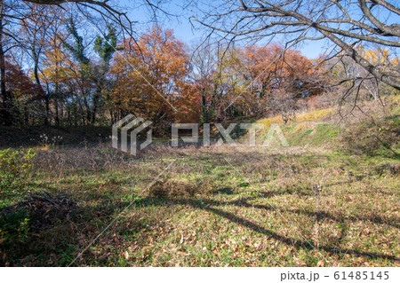 埼玉県立嵐山史跡の博物館付近　　菅谷館跡　 61485145