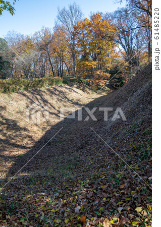 埼玉県立嵐山史跡の博物館　　菅谷館跡　 61485220